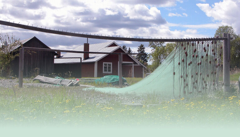 fisknät hänger på tork på en sommaräng i Tornedalen