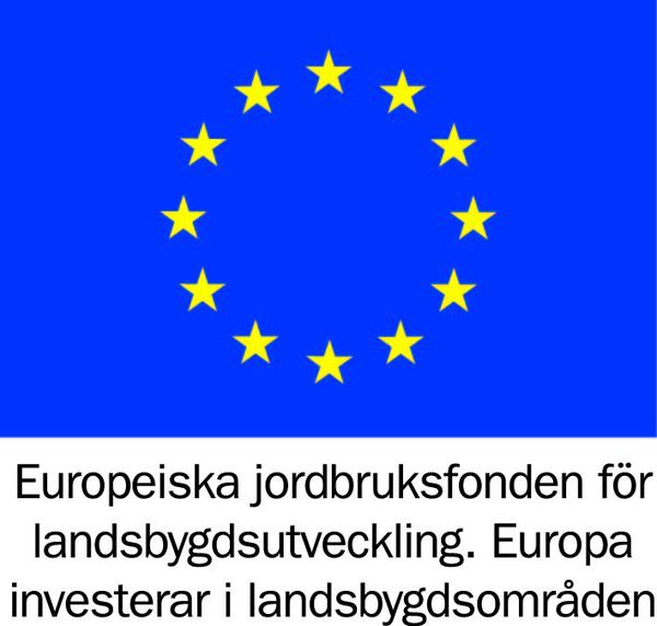 logotyp EU