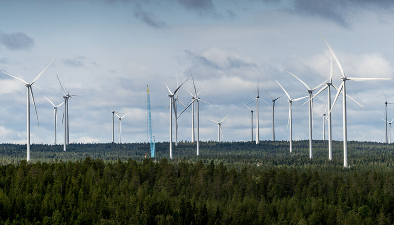 Vindkraftverk i Markbygden